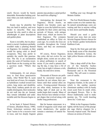 Fragrance Books Inc. @www.perfumerbook.com
parents may produce a petal-perfect
but smell-less offspring."
Anticipating the demand for
fragrance, David Austin, an
English rose breeder, years ago
began to cross the hybrid tea roses,
desirable for their colors and long
periods of bloom, with antique
shrub roses, which are known for
their fragrance. The company
established an office in Tyler six
years ago. As a result, the roses are
available throughout the United
States, and they are enormously
popular.
Of course, flower fragrance,
like color, did not evolve for our
delight alone; scents are sex ploys
to attract pollinators in search of
nectar. If you smell a petunia dur-
ing the day, it may have a bit of
scent, but at night it releases a rich,
heady, lily-and-clove aroma.
Thousands of flowers are polli-
nated by nocturnal insects and
therefore do not release their per-
fumes until their animal allies are
active. Evening-scented blossoms
are often white, luminous in the
fading light of dusk just as the
moths begin their rounds. Many of
these flowers have tubular or trum-
pet shapes that evolved along with
moths' long proboscises.
But for human enjoyment, in a
world of magazine scent strips and
room deodorizers, the garden
remains a sanctuary of natural fra-
grance.
Sniffing your way through the
Botanic Garden
The Fort Worth Botanic Garden
makes scents on a hot summer day.
Its natural aromatherapy cures are
waiting and free to anyone willing
to slow down and breathe deeply.
Should you need a guide
beyond your nose, here are some
favorite fragrant flowers chosen for
us by botanic garden horticulturist
Kathleen Cook.
Stop by the front gate and take
in the heady scent of the chocolate
daisies (Berlandiera lyrata), the
light yellow blooms with dark cen-
ters.
Take a deep whiff of the flow-
ers of the butterfly bushes
(Buddleia) in front of the Gardens
Restaurant and in the Perennial
Garden. The soft scent is reminis-
cent of vanilla.
Near the restaurant is the
Fragrance Garden, in the center of
which is the sambac jasmine
(Jasminum sambac) with its heady
sweet scent from its small, white,
star-shaped flowers. This is the
flower traditionally used to make
jasmine tea. "It's worth kneeling
down for," Cook says.
While in the Fragrance Garden,
lightly rub the leaves of the pineap-
ple sage (Salvia elegans) for a
heavenly tropical scent. The fennel
releases an aroma of licorice.
smell, flavors would be barely
detectable. Remember holding your
nose when you took medicine as a
child?
Scents may be plentiful, but
they are hard to analyze, and even
harder to describe. That may
account for why smell is often an
afterthought in plant descriptions
and garden plans.
Scent is invisible, but its place-
ment is crucial. Gardeners probably
wouldn't make a planting themed
on fragrance, for example, as they
would for spring color or dwarf
evergreens. They may prefer to
sprinkle the smells like punctua-
tion. The lily is an exclamation
point; the scent of Carolina sweet-
shrub floats on the evening air like
a question mark: "What's that
smell?"
Unfortunately, it's not always
easy to find those punctuation
marks. After World War II, scent
was bred out of roses, for example,
as hybridizers worked toward new
colors, long stems and durability.
Since thick, leathery petals do not
readily disintegrate, their molecules
do not waft into the air. Instead,
they remain imbedded and unde-
tectable until the blossom begins to
rot.
In her book A Natural History
of Senses, (Random House, 1990),
Diane Ackerman surmises that
scent "seems to be a recessive trait
in roses, and two deeply fragrant
DARK SIDE OF FRAGRANCES 209
 