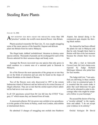 Stealing Rare Plants
JANUARY 16, 2006
ATOP SCIENTIST HAS BEEN JAILED FOR SMUGGLING MORe than 100
"priceless" orchids -the world's most desired flower -into Britain.
Pharm-aceutical researcher Dr Sian Lim, 32, was caught smuggling
some of the rarest species of the beautiful, fragrant and delicate
plant into Britain from his native Malaysia.
The illegal trade, dubbed 'orchidelirium', threatens to destroy some
species entirely. Thousands of pounds can be exchanged for each of the
flowers admired for their sensuous shape and heady scent.
Amongst the flowers recovered was one species that only grows in
small numbers in a remote area of a national park in Sarawak in
Malaysia.
Six of the flowers the most spectacular of the group are so rare they
are on the brink of extinction and can only be found on the slopes of
Mount Kinabalu on the island of Borneo.
Two of the flowers were only discovered in 1997 in the remote
Indonesian island of Sulawesi and are believed to be extinct because of
illegal collection. They are so rare that the orchid expert at Kew admit-
ted he had never even seen one.
In all 126 specimens seized from Dr Lim fall into the CITES' "Cate-
gory A" which means they are banned from all trade.
A renowned collector, Dr Lim grows rare orchids in two greenhous-
es in the garden of his home in Putney, south west London, and exhibits
at international shows.
He admitted 13 charges of smuggling rare orchids into Heathrow
Airport, but denied doing it for
commercial gain despite the thriv-
ing black market.
He claimed he had been offered
the plants for sale in Malaysia and
that he only brought them back to
Britain with him at the last moment
because the climate there was too
hot.
But after a trial at Isleworth
Crown Court, Dr Lim's claims were
rejected by Judge Richard
McGregor Johnson who jailed him
for four months.
The Judge told Lim: "I am satis-
fied you did bring in these orchids
with a view to commercial gain. It
is essential that the courts make it
plain that such behaviour for gain
will not be tolerated in order to dis-
courage other who might be tempt-
ed to follow in your footsteps."
He accused the doctor of having
a "cavalier attitude" to the regula-
tions and added: "I do not accept
your evidence in its entirety."
Orchid biologist Dr David
GLEN O. BRECHBILL270
 