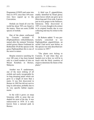 A third was P. gigantifolium,
readily identified by broad glossy
green leaves which can grow up to
60cm long and 12cm wide. It grows
just in river gorges in the Sulawesi,
Indonesia. Only discovered in
1997, it is now thought to be extinct
in its original locality due to over
collecting and may be extinct in the
wild.
Dr Roberts added: "I was par-
ticularly concerned to see
Paphiopedilum gigantifolium, an
orchid I had never seen before, as
this species was only described new
to science in 1997."
"The plants now belong to
Customs. If and when they are
handed over to Kew we will be in
touch with the likely countries of
origin to determine the future of the
plants."
Programme (UNEP) and came into
force in 1975; since then 169 coun-
tries have signed up to the
Convention.
Orchids are found all over the
world but about 7O% are found in
the tropics. There are some 25,000
species of orchids.
One of the plants confiscated
by Customs included P.
(Paphiopedilum) rothschildianum,
named after the eminent Victorian
orchid grower Baron Ferdinand de
Rothschild. Of all the species in the
genus Paphiopedilum this is one of
the rarest in nature.
Despite extensive searching for
over 100 years it has been located
only in a small number of sites on
Mount Kinabalu in Borneo,
Malaysia.
Another was P. sanderianum,
one of the most striking of all
orchids and easily recognisable by
its long drooping petals which can
grow to a length of more than a
metre. It was first discovered in
Borneo in 1885 but did not survive
long in cultivation, probably due to
its very specific habitat require-
ments.
In the wild it grows on steep
limestone cliffs in areas that are
shaded for most of the day. It was
rediscovered in 1978. It is only
known from a national park in
Borneo.
GLEN O. BRECHBILL272
 