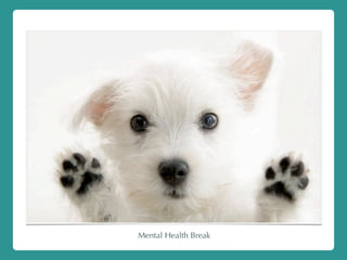 Mental Health Break
 