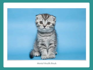 Mental Health Break
 