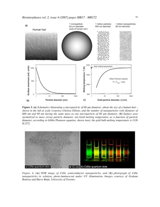 Biointerphases vol. 2, issue 4 (2007) pages MR17 - MR172 16
Figure 3. (a) Schematics illustrating a microparticle of 60 µm diameter, about the size of a human hair -
shown in the left at scale (courtesy Chelsea Elliott), and the number of nanoparticles with diameter of
600 nm and 60 nm having the same mass as one microparticle of 60 µm diameter. (b) Surface area
normalized to mass versus particle diameter. (c) Gold melting temperature as a function of particle
diameter, according to Gibbs-Thomson equation, shown inset; the gold bulk melting temperature is 1336
K [27].
Figure. 4. (a) TEM image of CdSe semiconductor nanoparticles, and (b) photograph of CdSe
nanoparticles in solution, photo-luminescent under UV illumination. Images courtesy of Graham
Rodway and Harry Ruda, University of Toronto.
 