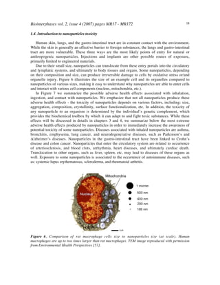 Biointerphases vol. 2, issue 4 (2007) pages MR17 - MR172 18
1.4. Introduction to nanoparticles toxicity
Human skin, lungs, and the gastro-intestinal tract are in constant contact with the environment.
While the skin is generally an effective barrier to foreign substances, the lungs and gastro-intestinal
tract are more vulnerable. These three ways are the most likely points of entry for natural or
anthropogenic nanoparticles. Injections and implants are other possible routes of exposure,
primarily limited to engineered materials.
Due to their small size, nanoparticles can translocate from these entry portals into the circulatory
and lymphatic systems, and ultimately to body tissues and organs. Some nanoparticles, depending
on their composition and size, can produce irreversible damage to cells by oxidative stress or/and
organelle injury. Figure 6 illustrates the size of an example cell and its organelles compared to
nanoparticles of various sizes, making it easy to understand why nanoparticles are able to enter cells
and interact with various cell components (nucleus, mitochondria, etc.).
In Figure 7 we summarize the possible adverse health effects associated with inhalation,
ingestion, and contact with nanoparticles. We emphasize that not all nanoparticles produce these
adverse health effects - the toxicity of nanoparticles depends on various factors, including: size,
aggregation, composition, crystallinity, surface functionalization, etc. In addition, the toxicity of
any nanoparticle to an organism is determined by the individual’s genetic complement, which
provides the biochemical toolbox by which it can adapt to and fight toxic substances. While these
effects will be discussed in details in chapters 3 and 4, we summarize below the most extreme
adverse health effects produced by nanoparticles in order to immediately increase the awareness of
potential toxicity of some nanoparticles. Diseases associated with inhaled nanoparticles are asthma,
bronchitis, emphysema, lung cancer, and neurodegenerative diseases, such as Parkinson’s and
Alzheimer’s diseases. Nanoparticles in the gastro-intestinal tract have been linked to Crohn’s
disease and colon cancer. Nanoparticles that enter the circulatory system are related to occurrence
of arteriosclerosis, and blood clots, arrhythmia, heart diseases, and ultimately cardiac death.
Translocation to other organs, such as liver, spleen, etc, may lead to diseases of these organs as
well. Exposure to some nanoparticles is associated to the occurrence of autoimmune diseases, such
as: systemic lupus erythematosus, scleroderma, and rheumatoid arthritis.
Figure 6 . Comparison of rat macrophage cells size to nanoparticles size (at scale). Human
macrophages are up to two times larger than rat macrophages. TEM image reproduced with permission
from Environmental Health Perspectives [57].
 