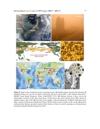 Biointerphases vol. 2, issue 4 (2007) pages MR17 - MR172 23
Figure 9. Sand storms visualized at macro and microscale. (a) Satellite image showing dust blowing off
mainland China over the Sea of Japan and Pacific Ocean in April 2002, credit Jacques Descloitres,
MODIS Land Rapid Response Team, NASA/GSFC [72]. (b) Beijing during a dust storm. (c)
Approximate location of the dust cloud from a Gobi desert dust storm during April 1998, based on
satellite images, after [70]. (d) Asia dust storm samples collected during the 16 March 2002 dust storm
[68], courtesy of American Geophysical Union. (e) Ten major sources of dust in the world; (f) bacteria
collected from African dust that reached North America, both (e) and (f) reproduced with permission
from Environmental Health Perspectives [65].
 