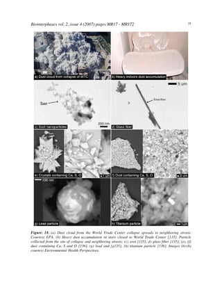 Biointerphases vol. 2, issue 4 (2007) pages MR17 - MR172 35
Figure. 18. (a) Dust cloud from the World Trade Center collapse spreads to neighboring streets.
Courtesy EPA. (b) Heavy dust accumulation in store closed to World Trade Center [135]. Particle
collected from the site of collapse and neighboring streets: (c) soot [135], d) glass fiber [135], (e), (f)
dust containing Ca, S and O [136], (g) lead and [g135], (h) titanium particle [136]. Images (b)-(h)
courtesy Environmental Health Perspectives.
 