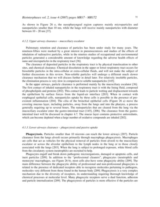 Biointerphases vol. 2, issue 4 (2007) pages MR17 - MR172 51
As shown in Figure 26 e, the nasopharyngeal region captures mainly microparticles and
nanoparticles smaller than 10 nm, while the lungs will receive mainly nanoparticles with diameter
between 10 – 20 nm [37].
4.1.2. Upper airway clearance – mucociliary escalator
Pulmonary retention and clearance of particles has been under study for many years. The
nineteen-fifties were marked by a great interest in pneumoconiosis and studies of the effects of
inhalation of radioactive particles, while in the nineties studies of occupational and environmental
particles generated a considerable amount of knowledge regarding the adverse health effects of
nano and microparticles in the respiratory tract [36].
The clearance of deposited particles in the respiratory tract is by physical translocation to other
sites, and chemical clearance. Chemical dissolution in the upper or lower respiratory tract occurs for
biosoluble particles in the intra-cellular or extra-cellular fluids, and will not make the subject of
further discussions in this review. Non-soluble particles will undergo a different much slower
clearance mechanism that we will discuss further in detail later. For relatively insoluble particles,
the elimination process is very slow in comparison to soluble nanoparticles [145].
In the upper airways, particle clearance is performed mainly by the mucociliary escalator [36].
The first contact of inhaled nanoparticles in the respiratory tract is with the lining fluid, composed
of phospholipids and proteins [202]. This contact leads to particle wetting and displacement towards
the epithelium by surface forces from the liquid-air interface [203]. When in contact with
esophageal epithelial cells, nanoparticles uptake by these cells is possible in the presence of pre-
existent inflammation [204]. The cilia of the bronchial epithelial cells (Figure 26 a) move the
covering mucous layer, including particles, away from the lungs and into the pharynx, a process
generally requiring up to several hours. The nanoparticles that are cleared from the lung via the
mucociliary escalator enter the gastro-intestinal tract [145], [206]. The clearance from the gastro-
intestinal tract will be discussed in chapter 4.7. The mucus layer contains protective antioxidants,
which can become depleted when a large number of oxidative compounds are inhaled [202].
4.1.3. Lower airways clearance – phagocytosis and passive uptake
Phagocytosis. Particles smaller than 10 microns can reach the lower airways [207]. Particle
clearance from the lungs alveoli occurs primarily through macrophage phagocytosis. Macrophages
are cells that act as vehicles for the physical removal of particles from alveoli to the mucociliary
escalator or across the alveolar epithelium to the lymph nodes in the lung or to those closely
associated with the lungs [203]. When the lung is subject to prolonged exposure, white blood cells
from the circulatory system (neutrophils) are recruited to help.
Phagocytes engulf and break down pathogenic microorganisms, damaged or apoptotic cells, and
inert particles [209]. In addition to the “professional cleaners”, phagocytes (neutrophils and
monocyte/ macrophages, see Figure 26 b), most cells also have some phagocytic ability [209]. The
main difference between the phagocytic ability of professional and non-professional phagocytes is
related to the presence of dedicated receptors able to recognize molecules pertaining to pathogens,
molecules very different from those found in the human body [209]. Phagocytosis is a very complex
mechanism due to the diversity of receptors, its understanding requiring thorough knowledge of
chemical processes at molecular level. Many phagocytic receptors serve a dual function, adhesion
and particle internalization [209]. The phagocytosis of particles is more effective if the particles are
 