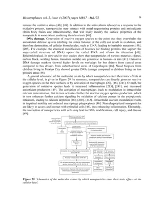 Biointerphases vol. 2, issue 4 (2007) pages MR17 - MR172 58
remove the oxidative stress [46], [49]. In addition to the antioxidants released as a response to the
oxidative process, nanoparticles may interact with metal-sequestering proteins and antioxidants
(from body fluids and intracellularly), that will likely modify the surface properties of the
nanoparticle to some extent, rendering them less toxic [46].
DNA damage. Generation of reactive oxygen species to the point that they overwhelm the
antioxidant defense system (shifting the redox balance of the cell) can result in oxidation, and
therefore destruction, of cellular biomolecules, such as DNA, leading to heritable mutations [46],
[203]. For example, the chemical modification of histones (or binding proteins that support the
supercoiled structure of DNA) opens the coiled DNA and allows its alteration [49].
Epidemiological, in vitro and in vivo studies show that nanoparticles of various materials (diesel,
carbon black, welding fumes, transition metals) are genotoxic in humans or rats [41]. Oxidative
DNA damage markers showed higher levels on workdays for bus drivers from central areas
compared to bus drivers from suburban/rural areas of Copenhagen [46]. Nasal biopsies from
children living in Mexico City showed greater DNA damage compared to children living on less
polluted areas [46].
A general schematic, of the molecular events by which nanoparticles exert their toxic effects at
the cellular level, is given in Figure 29. In summary, nanoparticles can directly generate reactive
oxygen species on the their surfaces or by activation of macrophages [20], [46], [241]. Overall, the
generation of oxidative species leads to increased inflammation [215], [241], and increased
antioxidant production [49]. The activation of macrophages leads to modulation in intracellular
calcium concentration, that in turn activates further the reactive oxygen species production, which
in turn enhances further calcium signaling by oxidation of calcium pumps in the endoplasmic
reticulum, leading to calcium depletion [46], [240], [243]. Intracellular calcium modulation results
in impaired motility and reduced macrophage phagocytosis [46]. Non-phagocytized nanoparticles
are likely to access and interact with epithelial cells [46], thus enhancing inflammation. Ultimately,
the interaction of nanoparticles with cells may lead to DNA modifications, cell injury, and disease
[49].
Figure 29. Schematics of the molecular events by which nanoparticles exert their toxic effects at the
cellular level.
 