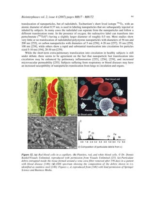 Biointerphases vol. 2, issue 4 (2007) pages MR17 - MR172 64
translocation of nanoparticles, but of radiolabels. Technetium’s short lived isotope 99m
Tc, with an
atomic diameter of about 0.37 nm, is used in labeling nanoparticles that are subsequently injected or
inhaled by subjects. In many cases the radiolabel can separate from the nanoparticles and follow a
different translocation route. In the presence of oxygen, the radioactive label can transform into
pertechnetate (99m
TcO4-
) having a slightly larger diameter of roughly 0.5 nm. Most studies show
very little or no translocation of radiolabeled polystyrene nanoparticles with diameters of 56!nm and
200 nm [255], or carbon nanoparticles with diameters of 5 nm [256], 4-20 nm [257], 35 nm [259],
100 nm [258], while others show a rapid and substantial translocation into circulation for particles
sized 5-10 nm [194], 20-30 nm [239].
While the short-term extra-pulmonary translocation into circulation in healthy subjects is still
under debate, there seems to be agreement on the fact that nanoparticle fast translocation into
circulation may be enhanced by pulmonary inflammation [255], [256], [259], and increased
microvascular permeability [255]. Subjects suffering from respiratory or blood diseases may have
an increased susceptibility of nanoparticles translocation from lungs to circulation and organs.
Figure 32. (a) Red blood cells in a capillary. (b) Platelets, red, and white blood cells. © Dr. Dennis
Kunkel/Visuals Unlimited, reproduced with permission from Visuals Unlimited [25]. (c) Particulate
debris entrapped inside the tissue formed around a vena cava filter removed after 156 days in a patient
with blood disease [146]. (d) EDS spectrum showing the composition of the debris shown in (c),
identified as stainless steel [146]. Figures c, d, reproduced from [146] with kind permission of Springer
Science and Business Media.
 