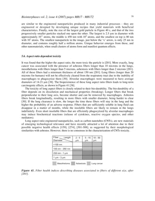 Biointerphases vol. 2, issue 4 (2007) pages MR17 - MR172 79
are similar to the engineered nanoparticles produced in many industrial processes - they are
engineered or designed by developing unique recipes that yield materials with beneficial
characteristics. Finally, note the size of the largest gold particle in Figure 40 c, and that of the two
progressively smaller particles stacked one upon the other. The largest is 2.5 µm in diameter with
approximately 1011
atoms, the middle is 450 nm with 109
atoms, and the smallest on top is 80 nm
with 107
atoms. The smallest nanoparticle in the image, just below the ‘x’ arrow, is only 25 nm in
diameter, and contains roughly half a million atoms. Unique behavior emerges from these, and
other nanomaterials, when small clusters of atoms form and manifest quantum effects.
5.6. Aspect ratio dependent toxicity
It was found that the higher the aspect ratio, the more toxic the particle is [201]. More exactly, lung
cancer was associated with the presence of asbestos fibers longer than 10 microns in the lungs,
mesothelioma with fibers longer than 5 microns, asbestosis with fibers longer than 2 microns [201].
All of these fibers had a minimum thickness of about 150 nm [201]. Long fibres (longer than 20
microns for humans) will not be effectively cleared from the respiratory tract due to the inability of
macrophages to phagocytize them [30]. Alveolar macrophages were measured to have average
diameters of 14-21 µm [38]. The biopersistence of these long aspect ratio fibers leads to long-term
carcinogenic effects, as shown in Figure 41 [38].
The toxicity of long aspect fibers is closely related to their bio-durability. The bio-durability of a
fiber depends on its dissolution and mechanical properties (breaking). Longer fibers that break
perpendicular to their long axis, become shorter and can be removed by macrophages. Asbestos
fibers break longitudinally, resulting in more fibers with smaller diameter, being harder to clear
[30]. If the lung clearance is slow, the longer the time these fibers will stay in the lung and the
higher the probability of an adverse response. Fibers that are sufficiently soluble in lung fluid can
disappear in a matter of months, while the insoluble fibers are likely to remain in the lungs
indefinitely. Even short insoluble fibers that are efficiently phagocytized by alveolar macrophages
may induce biochemical reactions (release of cytokines, reactive oxygen species, and other
mediators).
Long aspect ratio engineered nanoparticles, such as carbon nanotubes (CNTs), are new materials
of emerging technological relevance and have recently attracted a lot of attention due to their
possible negative health effects [159], [274], [301-308], as suggested by their morphological
similarities with asbestos. However, there is no consensus in the characterization of CNTs toxicity.
Figure 41. Fiber health indices describing diseases associated to fibers of different size, after
[201].
 