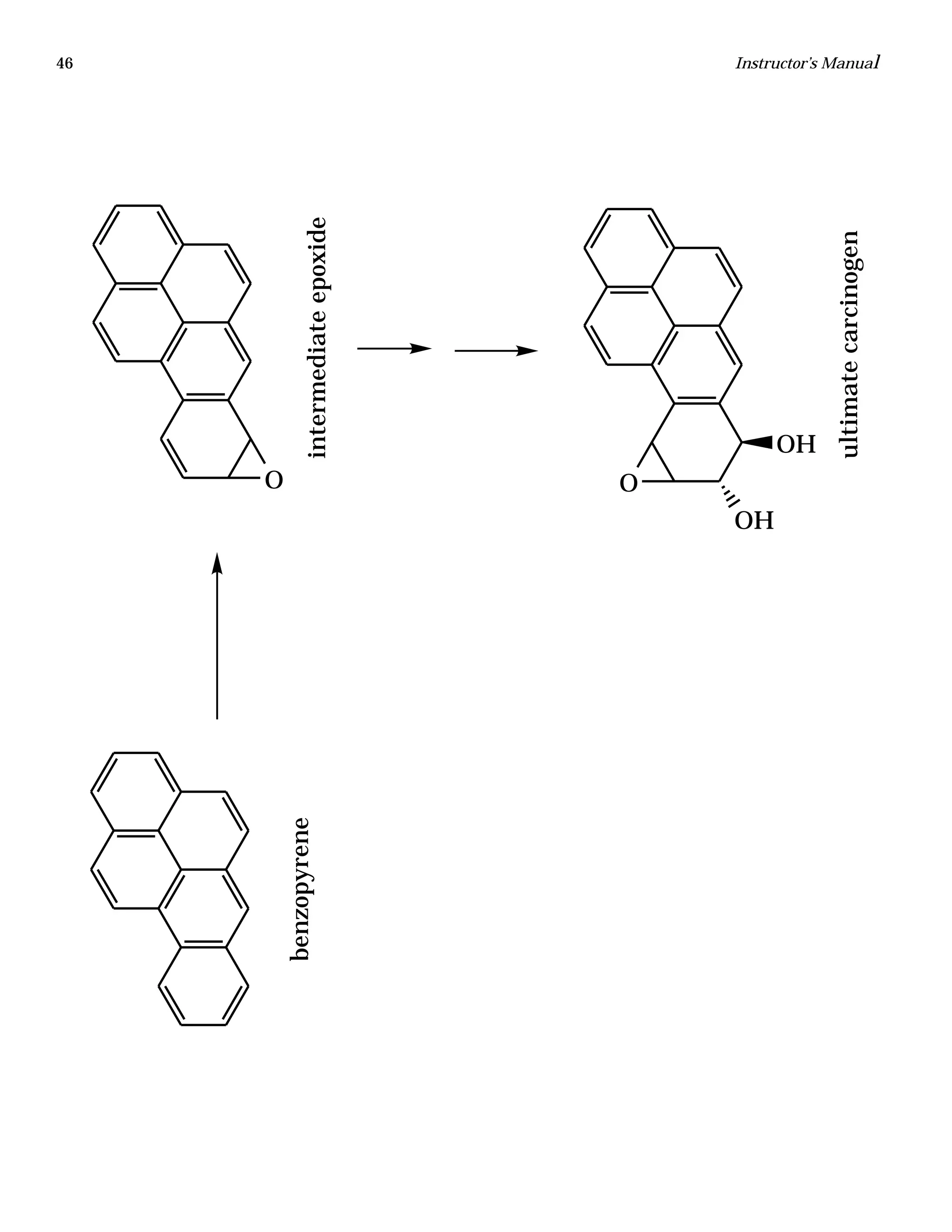 46 Instructor’s Manual
O O
OH
OH
benzopyrene
intermediateepoxide
ultimatecarcinogen
 