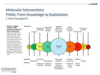 Molecular Interventions
P450s: From Knowledge to Exploitation
F. Peter Guengerich
 