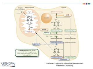 58
Toxic Effects Porphyrins Profile Interpretive Guide
Metametrix Laboratory
 