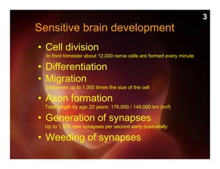 Sensitive brain development
• Cell division
In third trimester about 12,000 nerve cells are formed every minute
• Differentiation
• Migration
Distances up to 1,000 times the size of the cell
• Axon formation
Total length by age 20 years: 176,000 / 149,000 km (m/f)
• Generation of synapses
Up to 1,000 new synapses per second early postnatally
• Weeding of synapses
3
 