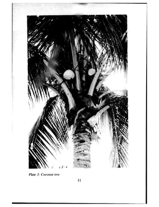 Phte 3: Cocomit trw
11
 