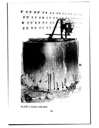 PLATE 5: Caustic soda plant.
16
 