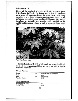 Castor oil is obtained from the seeds of the castor plant
(Abonkruma in Fanti). In Ghana, the oil has no economic
value asno oil is extracted from the seeds.Apart from using
the plant to give shadeto young seedlingsof oil palm, cocoa,
coffee and coconut at nurseriesof the Ministry of Agriculture,
the plants are normally seen growing wild, especially at the
outskirts of towns andvillagesin both savannaandforestzones
of Ghana.
Plate 19: Castor plant
The seedcontains4555% of oil which can be usedto blend
other oils for soapmaking. Below are the properties of locally
extracted castor oil.
Physicd Properties
Colour -
Odoirr
Light yellow or colourlcss
- acrid
Taste -
Relative density
nauseating
- 0.93
Chernicnl Properties
Saponification Vahic
lodinc Value
184
83.6
58
 