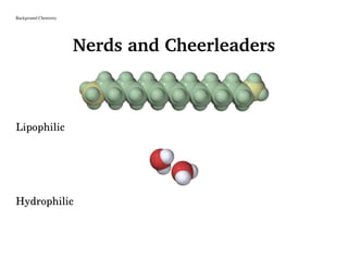 Background Chemistry
Nerds and Cheerleaders
Lipophilic
Hydrophilic
 