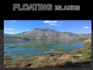 FLOATING ISLANDS
 