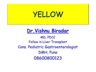 YELLOW 
Dr.Vishnu Biradar 
MD, PDCC 
Fellow in Liver Transplant 
Cons. Pediatric Gastroenterologist 
DMH, Pune 
08600800123 
 