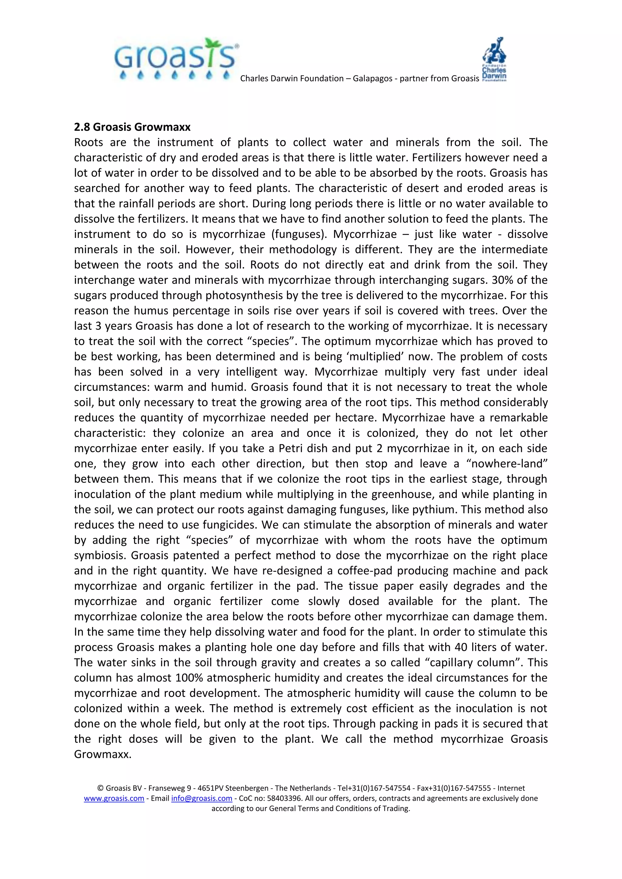 Charles Darwin Foundation – Galapagos - partner from Groasis
© Groasis BV - Franseweg 9 - 4651PV Steenbergen - The Netherlands - Tel+31(0)167-547554 - Fax+31(0)167-547555 - Internet
www.groasis.com - Email info@groasis.com - CoC no: 58403396. All our offers, orders, contracts and agreements are exclusively done
according to our General Terms and Conditions of Trading.
2.8 Groasis Growmaxx
Roots are the instrument of plants to collect water and minerals from the soil. The
characteristic of dry and eroded areas is that there is little water. Fertilizers however need a
lot of water in order to be dissolved and to be able to be absorbed by the roots. Groasis has
searched for another way to feed plants. The characteristic of desert and eroded areas is
that the rainfall periods are short. During long periods there is little or no water available to
dissolve the fertilizers. It means that we have to find another solution to feed the plants. The
instrument to do so is mycorrhizae (funguses). Mycorrhizae – just like water - dissolve
minerals in the soil. However, their methodology is different. They are the intermediate
between the roots and the soil. Roots do not directly eat and drink from the soil. They
interchange water and minerals with mycorrhizae through interchanging sugars. 30% of the
sugars produced through photosynthesis by the tree is delivered to the mycorrhizae. For this
reason the humus percentage in soils rise over years if soil is covered with trees. Over the
last 3 years Groasis has done a lot of research to the working of mycorrhizae. It is necessary
to treat the soil with the correct “species”. The optimum mycorrhizae which has proved to
be best working, has been determined and is being ‘multiplied’ now. The problem of costs
has been solved in a very intelligent way. Mycorrhizae multiply very fast under ideal
circumstances: warm and humid. Groasis found that it is not necessary to treat the whole
soil, but only necessary to treat the growing area of the root tips. This method considerably
reduces the quantity of mycorrhizae needed per hectare. Mycorrhizae have a remarkable
characteristic: they colonize an area and once it is colonized, they do not let other
mycorrhizae enter easily. If you take a Petri dish and put 2 mycorrhizae in it, on each side
one, they grow into each other direction, but then stop and leave a “nowhere-land”
between them. This means that if we colonize the root tips in the earliest stage, through
inoculation of the plant medium while multiplying in the greenhouse, and while planting in
the soil, we can protect our roots against damaging funguses, like pythium. This method also
reduces the need to use fungicides. We can stimulate the absorption of minerals and water
by adding the right “species” of mycorrhizae with whom the roots have the optimum
symbiosis. Groasis patented a perfect method to dose the mycorrhizae on the right place
and in the right quantity. We have re-designed a coffee-pad producing machine and pack
mycorrhizae and organic fertilizer in the pad. The tissue paper easily degrades and the
mycorrhizae and organic fertilizer come slowly dosed available for the plant. The
mycorrhizae colonize the area below the roots before other mycorrhizae can damage them.
In the same time they help dissolving water and food for the plant. In order to stimulate this
process Groasis makes a planting hole one day before and fills that with 40 liters of water.
The water sinks in the soil through gravity and creates a so called “capillary column”. This
column has almost 100% atmospheric humidity and creates the ideal circumstances for the
mycorrhizae and root development. The atmospheric humidity will cause the column to be
colonized within a week. The method is extremely cost efficient as the inoculation is not
done on the whole field, but only at the root tips. Through packing in pads it is secured that
the right doses will be given to the plant. We call the method mycorrhizae Groasis
Growmaxx.
 