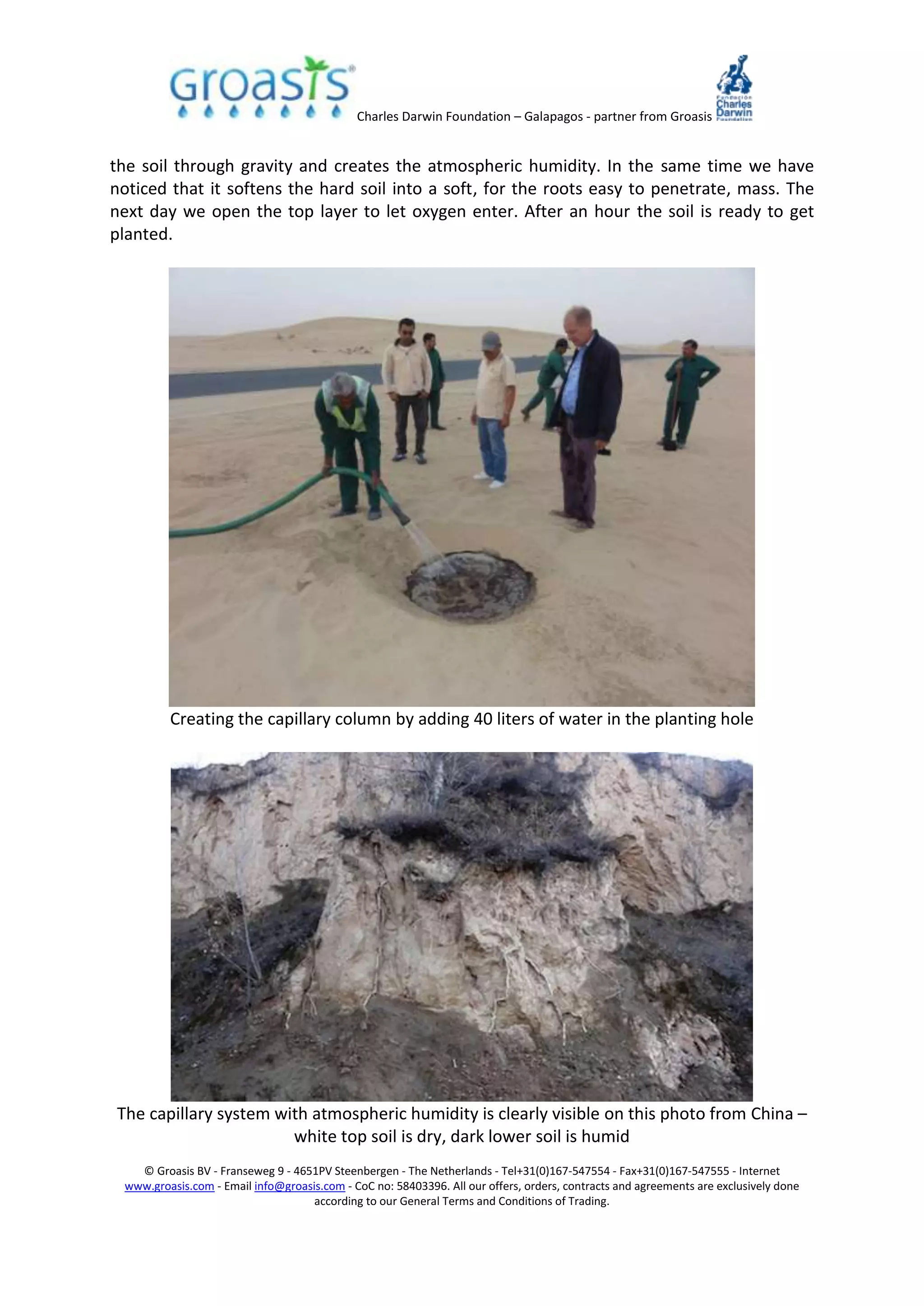 Charles Darwin Foundation – Galapagos - partner from Groasis
© Groasis BV - Franseweg 9 - 4651PV Steenbergen - The Netherlands - Tel+31(0)167-547554 - Fax+31(0)167-547555 - Internet
www.groasis.com - Email info@groasis.com - CoC no: 58403396. All our offers, orders, contracts and agreements are exclusively done
according to our General Terms and Conditions of Trading.
the soil through gravity and creates the atmospheric humidity. In the same time we have
noticed that it softens the hard soil into a soft, for the roots easy to penetrate, mass. The
next day we open the top layer to let oxygen enter. After an hour the soil is ready to get
planted.
Creating the capillary column by adding 40 liters of water in the planting hole
The capillary system with atmospheric humidity is clearly visible on this photo from China –
white top soil is dry, dark lower soil is humid
 