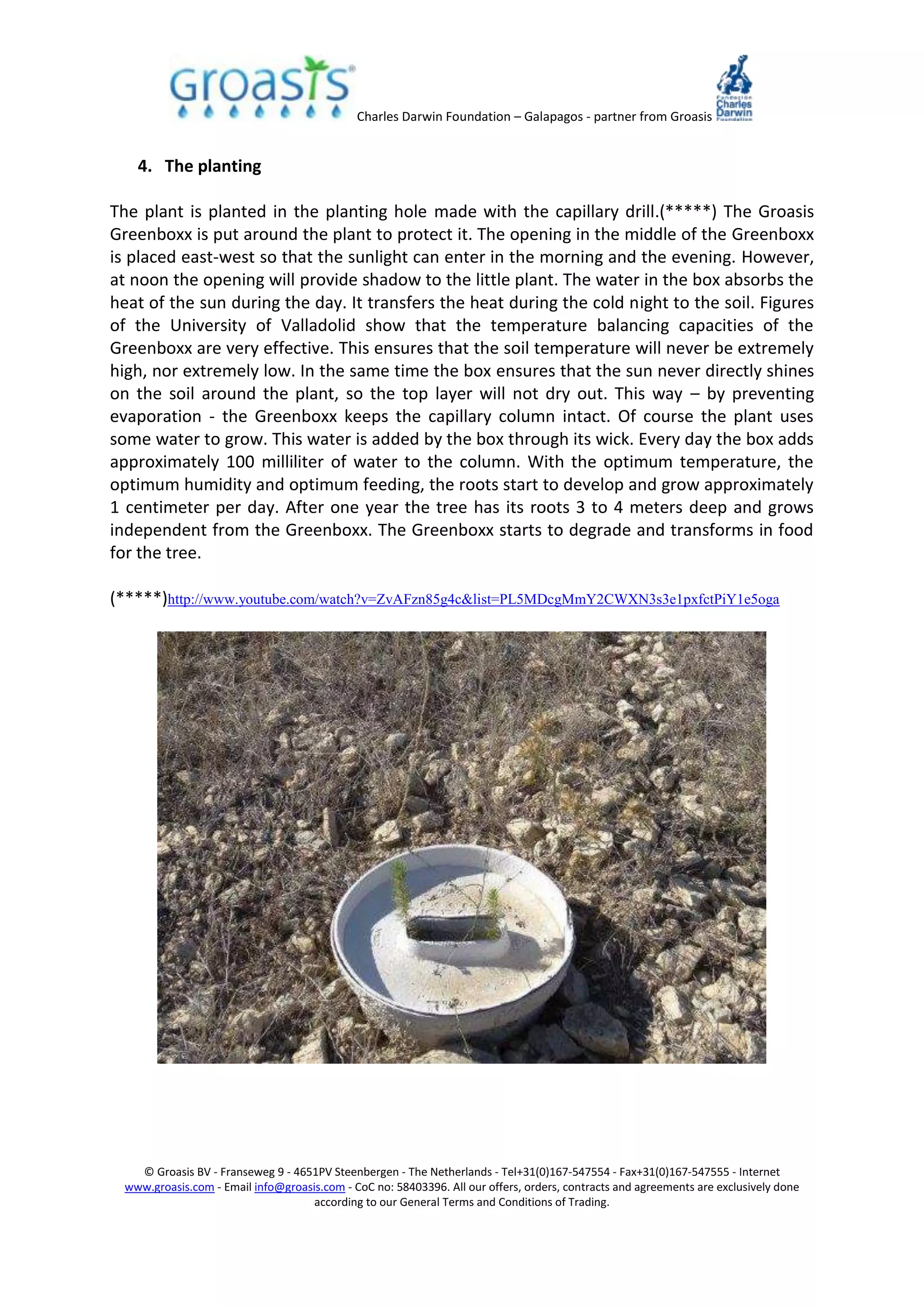 Charles Darwin Foundation – Galapagos - partner from Groasis
© Groasis BV - Franseweg 9 - 4651PV Steenbergen - The Netherlands - Tel+31(0)167-547554 - Fax+31(0)167-547555 - Internet
www.groasis.com - Email info@groasis.com - CoC no: 58403396. All our offers, orders, contracts and agreements are exclusively done
according to our General Terms and Conditions of Trading.
4. The planting
The plant is planted in the planting hole made with the capillary drill.(*****) The Groasis
Greenboxx is put around the plant to protect it. The opening in the middle of the Greenboxx
is placed east-west so that the sunlight can enter in the morning and the evening. However,
at noon the opening will provide shadow to the little plant. The water in the box absorbs the
heat of the sun during the day. It transfers the heat during the cold night to the soil. Figures
of the University of Valladolid show that the temperature balancing capacities of the
Greenboxx are very effective. This ensures that the soil temperature will never be extremely
high, nor extremely low. In the same time the box ensures that the sun never directly shines
on the soil around the plant, so the top layer will not dry out. This way – by preventing
evaporation - the Greenboxx keeps the capillary column intact. Of course the plant uses
some water to grow. This water is added by the box through its wick. Every day the box adds
approximately 100 milliliter of water to the column. With the optimum temperature, the
optimum humidity and optimum feeding, the roots start to develop and grow approximately
1 centimeter per day. After one year the tree has its roots 3 to 4 meters deep and grows
independent from the Greenboxx. The Greenboxx starts to degrade and transforms in food
for the tree.
(*****)http://www.youtube.com/watch?v=ZvAFzn85g4c&list=PL5MDcgMmY2CWXN3s3e1pxfctPiY1e5oga
 