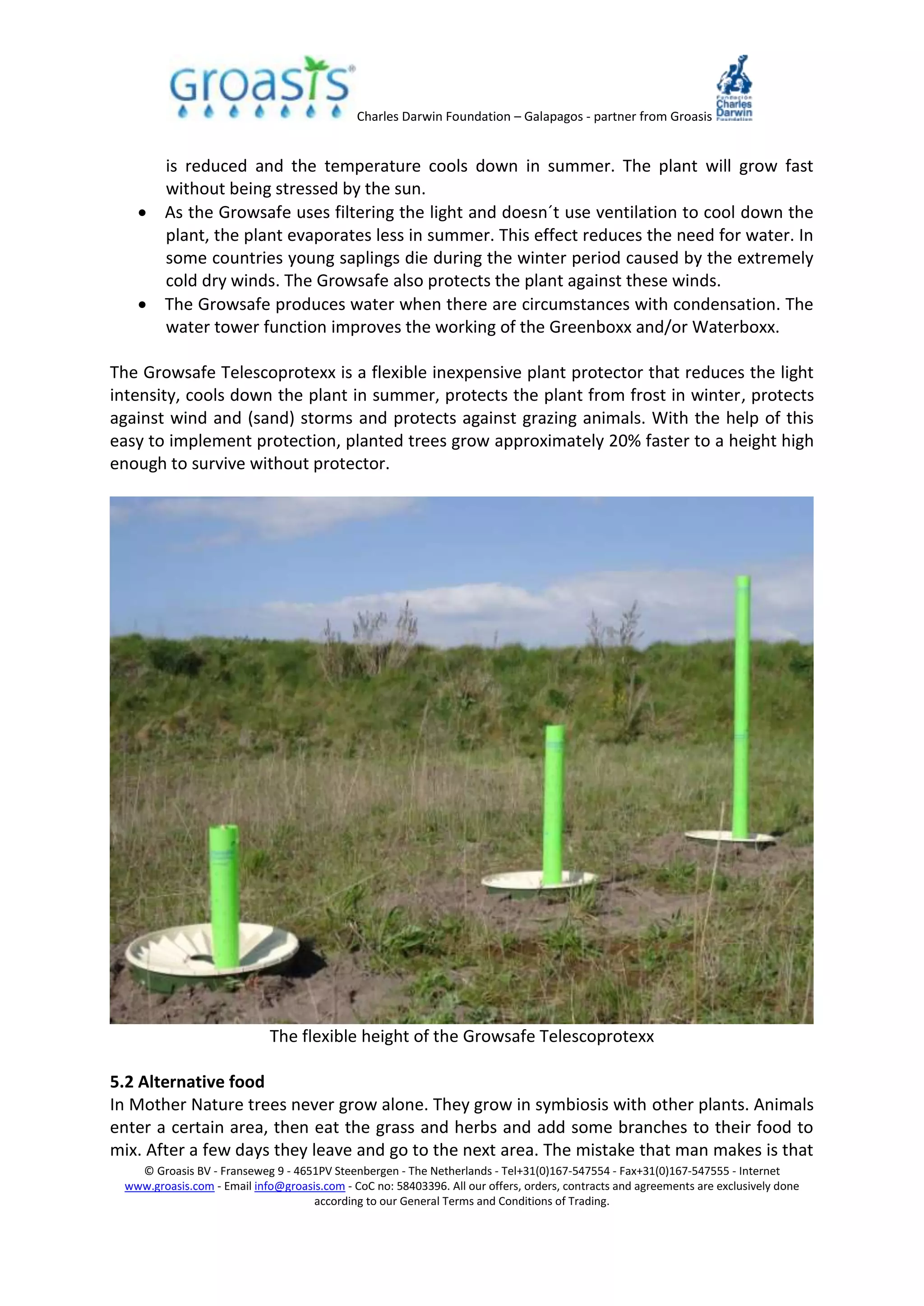 Charles Darwin Foundation – Galapagos - partner from Groasis
© Groasis BV - Franseweg 9 - 4651PV Steenbergen - The Netherlands - Tel+31(0)167-547554 - Fax+31(0)167-547555 - Internet
www.groasis.com - Email info@groasis.com - CoC no: 58403396. All our offers, orders, contracts and agreements are exclusively done
according to our General Terms and Conditions of Trading.
is reduced and the temperature cools down in summer. The plant will grow fast
without being stressed by the sun.
 As the Growsafe uses filtering the light and doesn´t use ventilation to cool down the
plant, the plant evaporates less in summer. This effect reduces the need for water. In
some countries young saplings die during the winter period caused by the extremely
cold dry winds. The Growsafe also protects the plant against these winds.
 The Growsafe produces water when there are circumstances with condensation. The
water tower function improves the working of the Greenboxx and/or Waterboxx.
The Growsafe Telescoprotexx is a flexible inexpensive plant protector that reduces the light
intensity, cools down the plant in summer, protects the plant from frost in winter, protects
against wind and (sand) storms and protects against grazing animals. With the help of this
easy to implement protection, planted trees grow approximately 20% faster to a height high
enough to survive without protector.
The flexible height of the Growsafe Telescoprotexx
5.2 Alternative food
In Mother Nature trees never grow alone. They grow in symbiosis with other plants. Animals
enter a certain area, then eat the grass and herbs and add some branches to their food to
mix. After a few days they leave and go to the next area. The mistake that man makes is that
 