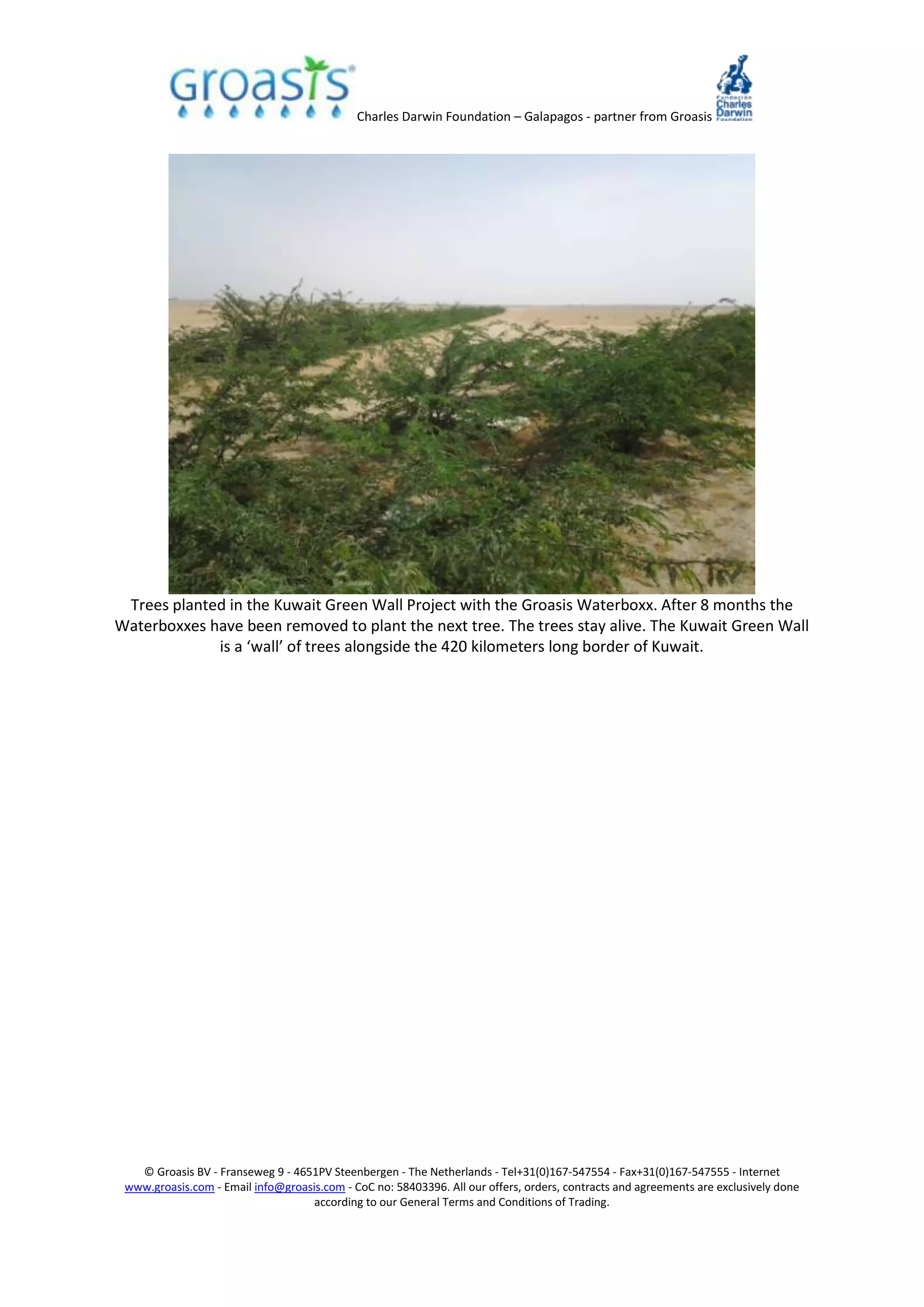 Charles Darwin Foundation – Galapagos - partner from Groasis
© Groasis BV - Franseweg 9 - 4651PV Steenbergen - The Netherlands - Tel+31(0)167-547554 - Fax+31(0)167-547555 - Internet
www.groasis.com - Email info@groasis.com - CoC no: 58403396. All our offers, orders, contracts and agreements are exclusively done
according to our General Terms and Conditions of Trading.
Trees planted in the Kuwait Green Wall Project with the Groasis Waterboxx. After 8 months the
Waterboxxes have been removed to plant the next tree. The trees stay alive. The Kuwait Green Wall
is a ‘wall’ of trees alongside the 420 kilometers long border of Kuwait.
 