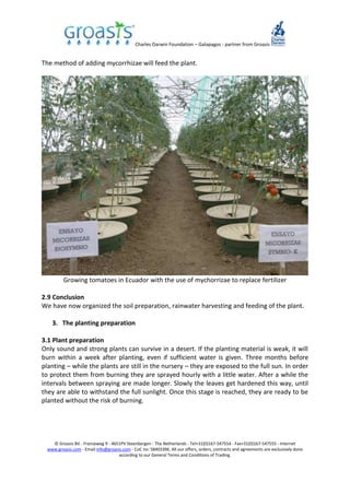 Charles Darwin Foundation – Galapagos - partner from Groasis
© Groasis BV - Franseweg 9 - 4651PV Steenbergen - The Netherlands - Tel+31(0)167-547554 - Fax+31(0)167-547555 - Internet
www.groasis.com - Email info@groasis.com - CoC no: 58403396. All our offers, orders, contracts and agreements are exclusively done
according to our General Terms and Conditions of Trading.
The method of adding mycorrhizae will feed the plant.
Growing tomatoes in Ecuador with the use of mychorrizae to replace fertilizer
2.9 Conclusion
We have now organized the soil preparation, rainwater harvesting and feeding of the plant.
3. The planting preparation
3.1 Plant preparation
Only sound and strong plants can survive in a desert. If the planting material is weak, it will
burn within a week after planting, even if sufficient water is given. Three months before
planting – while the plants are still in the nursery – they are exposed to the full sun. In order
to protect them from burning they are sprayed hourly with a little water. After a while the
intervals between spraying are made longer. Slowly the leaves get hardened this way, until
they are able to withstand the full sunlight. Once this stage is reached, they are ready to be
planted without the risk of burning.
 