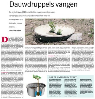 De Groasis Waterboxx is
door de drie miljoen lezers van
het Amerikaanse blad Popular
Science Magazine uitgeroepen tot
‘Innovation of the Year 2010’.
Wat is dat voor een ding, dat onder meer de iPad
en de Porsche 918 Spyder versloeg? Het is een
dauw opvangende, vochtbeherende bak waarin
jonge boompjes zelfs in een woestijnklimaat
kunnen overleven – een uitvinding van de Ne-
derlandse bollenkweker Pieter Hoff.
Bollen kweken doet Pieter Hoff al niet meer
sinds 2003 toen hij besloot om zich volledig te
wijden aan zijn ambitie om dauw te oogsten.
Hoff: “Als je ’s morgens door een veld met lelies
loopt, kun je aardig nat worden van de dauw.
Toen ik een keer van Rome naar Napels reed
langs de kale, geërodeerde bergen van Caserta,
viel het kwartje ineens. Zou je, zo bedacht ik, die
kale hellingen niet kunnen bebossen door dauw
op te vangen en verspreid over de dag toe te die-
nen aan jonge boompjes?”
Met die ‘brainwave’ begon een klus van zeven
jaar die 7 miljoen euro kostte. Ondanks externe
financiers moest Hoff op een gegeven moment
zelfs zijn land verkopen om de kosten voor het
aanvragen en onderhouden van zijn octrooien
te betalen. Het resultaat van al die inspannin-
gen oogt verpletterend eenvoudig (zie kader).
HERBEBOSSEN De Waterboxx kan volgens Pie-
ter Hoff een belangrijke bijdrage leveren aan
herbebossing en daarmee aan het tegengaan
van erosie en verwoestijning. Ook de overmati-
ge uitstoot van CO2 kan dankzij herbebossen
worden opgevangen. Hoff: “Als je weet dat we
de laatste paar eeuwen vijf miljoen vierkante ki-
lometer bos hebben gekapt, moet het toch mo-
gelijk zijn om de helft weer te bebossen.”
Afgelopen zomer is de Waterboxx in twaalf dro-
ge tot zeer droge gebieden in Spanje getest, bij
elkaar zo’n zes hectare met jonge bosaanplant.
Volgens Sven Kallen van Transfer Latin Busi-
ness Consultancy (LBC), die de proeven begeleid-
de, hebben vrijwel alle jonge boompjes de zo-
mer overleefd. In februari 2011 gaat een EU-pro-
ject van start waarin, samen met provinciale en
gemeentelijke overheden 60 hectare bomen
worden beplant. Omdat de boompjes twee aan
twee worden geplant, zijn daar 30.000 Water-
boxxen voor nodig.
In Californië is de Waterboxx ingezet voor res-
tauratie van een natuurgebied. Frazier Haney is
manager van het Whitewater Preserve, een
bergachtig woestijngebied ten oosten van Los
Angeles. In juli zijn daar twintig Waterboxxen
geplaatst met zaden – geen plantjes dus – van
struiken die oorspronkelijk in het gebied voor-
komen, zoals mesquite en sugar bush. Daarvan
is 80 procent binnen enkele maanden uitge-
groeid tot een levensvatbare struik. Een deel
van de Waterboxxen werd vernield door een
beer op zoek naar water, maar dat heeft de en-
thousiaste Haney er niet van weerhouden om in
oktober nog eens tweehonderd Waterboxxen te
plaatsen.
Naast restauratie van bos en natuur leent de Wa-
terboxx zich ook voor landbouw in droge gebie-
den. Zo vormt hij een essentieel onderdeel van
een project in Kenia dat een dezer dagen van
start gaat, waarbij bomenteelt wordt gecombi-
neerd met het houden van bijen en van geiten.
De bomen leveren peulen en bladeren voor de
geiten, honing voor de bijen en houtskool en
bouwhout voor de mensen. Volgens Isaac Kiga-
tiira, hoogleraar aan de universiteit van Nazare-
ne, die het project begeleidt, leent deze vorm
van agroforestry zich uitstekend voor de droge
gebieden van Kenia en elders in Afrika.
VERDAMPINGKoen Roest, medewerker van Al-
terra in Wageningen, vindt de Waterboxx een
effectieve manier om jonge boompjes en plan-
ten van water te voorzien, omdat er anders dan
bij andere vormen van irrigatie vrijwel geen ver-
damping optreedt. Hij ziet goede mogelijkhe-
den om de Waterboxx in te zetten in de land-
bouw. “Alles wat je doet om water voor langere
tijd beschikbaar te hebben voor de plant is posi-
tief”, zegt hij.
Maar hij vraagt zich wel af of het nu echt aan de
dauw te danken is dat boompjes en plantjes in
de Waterboxx zo goed groeien. Samen met on-
derzoeker Ton Baltissen heeft hij de Waterboxx
afgelopen zomer getest en volgens hen is het
voor de ontwikkeling van het boompje veel be-
langrijker dat het aan het begin al vijftien liter
water meekrijgt. Maar Hoff zegt dat uit de expe-
rimenten in Spanje blijkt dat condens wel dege-
lijk belangrijk is voor de watervoorziening.
Een ander probleem is de prijs van de Water-
boxx. Met tien dollar is die aan de hoge kant,
vindt Frans Bongers, hoogleraar tropische bos-
ecologie in Wageningen – zeker voor kleine boe-
ren die blij zijn als ze een dollar per dag verdie-
nen. Pieter Hoff werpt tegen dat de Waterboxx
wel tien keer opnieuw kan worden gebruikt, zo-
dat de werkelijke kosten maar een dollar per
jaar bedragen. Via slimme vormen van microfi-
nanciering zou dat ook voor kleine boeren in
ontwikkelingslanden op te brengen moeten
zijn. Ondanks positieve laboratoriumtesten
moet overigens nog maar blijken of de Water-
boxx in de praktijk tien jaar mee gaat..
Dauwdruppels vangen
Dé uitvinding van 2010 is niet de iPad, zeggen drie miljoen lezers
van een populair Amerikaans wetenschapsblad, maar een
watersysteem voor
boompjes in droge
streken.
Joost van Kasteren
HOE DE WATERBOXX WERKT
De Waterboxx is een ron-
de bak van 50 cm doorsne-
de en 25 cm hoog. In het
midden zit een achtvor-
mige opening waarin twee
plantjes groeien. Het dek-
sel van de bak bestaat uit
ribbels, voorzien van mi-
croscopisch kleine punt-
jes. Die vormen een zo
gladde laag dat condens-
druppels direct naar de
gootjes tussen de ribbels
stromen en worden afge-
voerd naar het reservoir.
Langs een draadje wordt
het water afgevoerd, de
bodem in, met een snel-
heid van zo’n 50 ml per
dag. Afhankelijk van de
bodemsoort is dat vol-
doende om de ruimte tus-
sen de bodemdeeltjes met
water te vullen tot een
diepte van anderhalf tot
twee meter. Overtollig wa-
ter, bijvoorbeeld na een
stortbui, wordt afgevoerd
zodat het plantje niet ver-
zuipt. Metingen laten zien
dat de bodem onder de
bak overdag koeler en ’s
nachts warmer is dan de
buitenlucht. Ook tempe-
ratuur in het plantgat is
gelijkmatiger dan die in
de buitenlucht. Boven-
dien beschermt de bak het
jonge plantje tegen wind
en zon. Daarmee is het,
volgens Popular Science Ma-
gazine, de beste manier ‘to
hug a tree’.
 