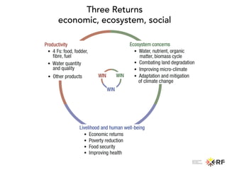 Three Returns
economic, ecosystem, social
 