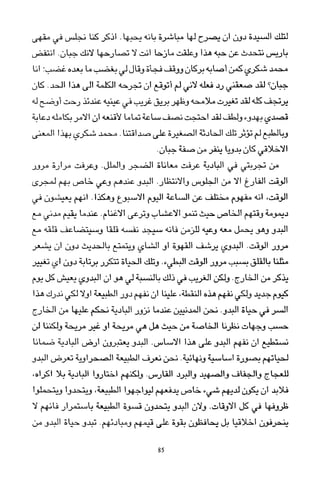 العرب , وجهة نظر يابانية