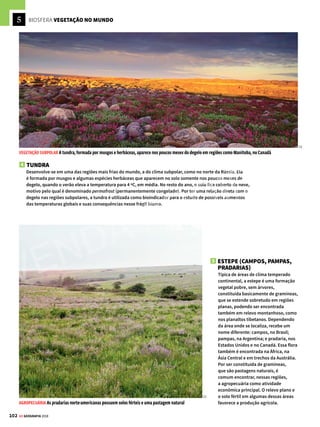 101
GE GEOGRAFIA 2018
2 VEGETAÇÃO DE MONTANHA
A vegetação de montanha é rasteira,
formada apenas de ervas e arbustos que,
a duras penas, conseguem sobreviver
no clima hostil. Algumas características
como folhas duras (coriáceas) ajudam
a resistir ao frio e aos fortes ventos das
altitudes elevadas.
Esse tipo de formação vegetal pode
ser encontrado em diversas regiões
montanhosas pelo mundo, como as
encostas da Cordilheira dos Andes (na
América do Sul), dos Alpes (na Europa),
da Cordilheira do Himalaia (na Ásia)
e das Montanhas Rochosas (nos
Estados Unidos).
3 FLORESTA DE CONÍFERAS
OU FLORESTA BOREAL
Floresta homogênea, de pinheiros
e abetos, com folhas em formato
de agulha (aciculifoliadas) e copas
em forma de cone, que acumulam
menos neve durante o longo inverno
das regiões de latitudes médias e
elevadas. No solo, o frio rigoroso
também impõe duras limitações para
o desenvolvimento das espécies
vegetais: há pouca vegetação rasteira,
como alguns liquens, musgos e
arbustos. A floresta de coníferas
é intensamente explorada como
matéria-prima para importantes
indústrias madeireiras, de papel e
celulose. Essa formação é encontrada
principalmente no norte da Europa,
da América e da Ásia (onde é chamada
de taiga).
AINDA DE PÉ A floresta de coníferas, encontrada na Letônia, é explorada pela indústria madeireira
NAS ALTURAS Só vegetação rasteira consegue suportar o clima hostil das Montanhas Rochosas (EUA)
[1] DIVULGAÇÃO [2] MARCELO SACCO [3] iSTOCK PHOTOS
[2]
[3]
APONTE O CELULAR PARA AS
PÁGINAS E VEJA VIDEOAULA
SOBRE VEGETAÇÃO E BIOMAS
(MAIS INFORMAÇÕES NA PÁG. 7)
VENDA PROIBIDA
 