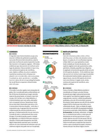 5
106 GE GEOGRAFIA 2018
BIOSFERA BIOMAS BRASILEIROS
Patrimônio
em perigo
O Brasil é a nação com a maior
biodiversidade do planeta, mas seus
seis grandes biomas estão sob uma
ameaça persistente
O
Brasil é, de longe, o campeão mundial
de biodiversidade: para ter uma ideia, de
cada cinco espécies de animais e vegetais
conhecidas do planeta, uma encontra-se aqui.
O país apresenta, ainda, a maior diversidade
de primatas, anfíbios e insetos. Em boa parte,
toda essa riqueza deve-se à extensão de seu
território e aos diversos climas que caracterizam
seus biomas. Está no território nacional a maior
floresta tropical úmida (Floresta Amazônica),
com mais de 30 mil espécies vegetais, bem como
a maior planície inundável (o Pantanal), além
do Cerrado, da Caatinga e da Mata Atlântica.
Entretanto, como no resto do mundo, sobretu-
do nas últimas décadas, o Brasil assistiu, quase
impassível, à deterioração de seus ambientes
naturais, em virtude de males contemporâneos
como a urbanização descontrolada, a explo-
ração mineral, o desmatamento a serviço da
agropecuária e a poluição. A seguir, conheça
toda a exuberância dos seis grandes biomas
brasileiros, conforme definição do IBGE, e as
ameaças a esse riquíssimo manancial de vida.
1 CAATINGA
 O BIOMA
A Caatinga limita-se apenas ao território brasileiro,
o que significa que sua biodiversidade é única
em todo o mundo. Seus 826,4 mil quilômetros
quadrados representam cerca de 10% do território
brasileiro. Apesar do clima semiárido, a Caatinga
é pontilhada por “ilhas de umidade”, de solo
extremamente fértil. Vivem nesse bioma cerca de
1,2 mil espécies de planta – 360 delas endêmicas
(que não ocorrem em nenhum outro lugar do
planeta) – e outras tantas de mamíferos, aves,
répteis e anfíbios. Quanto à vegetação, as plantas
da Caatinga são xerófilas, ou seja, adaptadas ao
clima seco e à pouca quantidade de água. Algumas
armazenamágua;outraspossuemraízessuperficiais
para captar o máximo das chuvas. Há as que contam
com recursos para diminuir a transpiração, como
espinhos e poucas folhas. A vegetação é formada
por três estratos: o arbóreo, com árvores de 8 a 12
metros; o arbustivo, com vegetação de 2 a 5 metros;
e o herbáceo, abaixo de 2 metros.
 A AMEAÇA
Os maiores problemas enfrentados pela região são
a salinização do solo e a desertificação de grandes
áreas, o que acarreta em um processo de redução
da vegetação e da capacidade produtiva do solo.
Estima-se que, no decorrer dos últimos 15 anos
do século passado, 40 mil quilômetros quadrados
de caatinga tenham se transformado em deserto.
Alguns dos responsáveis por isso são a exploração
da vegetação para a produção de lenha e carvão, a
contaminação do solo por agrotóxicos e o emprego
de técnicas de irrigação inadequadas para o tipo de
solo existente ali. Acredita-se que cerca de 50% do
bioma já tenha sofrido algum tipo de deterioração e
que 20% estejam completamente degradados.
BIOMAS BRASILEIROS
Fonte: Ibama 2012
AMAZÔNIA
PANTANAL
PAMPA
MATA ATLÂNTICA
CAATINGA
CERRADO
RASO DA CATARINA A região do norte baiano é rica em cactus, vegetação típica da Caatinga
DESMATAMENTO
Área
desmatada
53%
Área ocupada
por corpos d’água
1%
Área de
vegetação
remanescente
46%
Caatinga
(826.411 km2
– 2009)
1
2
3
6
4
5
[1]
VENDA PROIBIDA
 