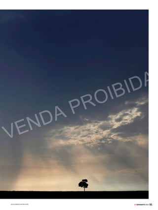 94 GE GEOGRAFIA 2018
CONTEÚDO DESTE CAPÍTULO
 Ecologia...............................................................................................................96
 A evolução do planeta....................................................................................98
 Vegetação no mundo ....................................................................................100
 Biomas brasileiros.........................................................................................106
 Preservação e conservação ........................................................................110
 Código Florestal .............................................................................................111
 Conferências ambientais............................................................................112
 Como cai na prova + Resumo.....................................................................114
5
BIOSFERA
H
á muitos anos, cientistas do Brasil e do
mundo vêm apontando como o desma-
tamento aliado à ocorrência de períodos
de seca podem provocar profundas alterações
na Floresta Amazônica e fazer com que ela
sofra um processo de “savanização”. Ou seja, a
exuberante floresta tropical perderia biomassa
e daria lugar a uma vegetação mais rala, com
árvores espaçadas e menos folhas, bem parecida
com o Cerrado brasileiro.
Dois estudos recentes, um do Instituto de
Pesquisa Climática de Postdam (PIK), da Ale-
manha, e outro de um grupo de cientistas bra-
sileiros de diversas instituições, jogaram mais
luzes sobre essa questão. De modo geral, eles
mostram a ocorrência de um ciclo vicioso de
seca e diminuição florestal na Amazônia. A
derrubada de árvores de grande porte, que têm
maior capacidade de regular as chuvas, afeta
diretamente o clima, que tende a ficar mais
seco. Por sua vez, a redução das precipitações
provoca a morte de mais árvores. Resumindo:
quanto menor a floresta, maior a seca, e, quanto
maior a seca, menor a floresta.
Essaalteraçãoclimáticanãoficarestritaapenas
àregião.Pormeiodofenômenoconhecidocomo
“rios voadores”, a umidade e o vapor d’água da
Amazôniasãotransportadosparaoutroslugares,
regulandoociclohidrológicodediversospontos
dopaís.Logo,asalteraçõesnoclimadaAmazônia
também afetariam outras regiões brasileiras.
O fato é que é impossível dissociar esse proble-
ma da ação humana, que intensifica o fenômeno
por meio da emissão de gases do efeito estufa e
da derrubada das árvores. O governo brasileiro
comprometeu-se a acabar com o desmatamento
ilegal da Floresta Amazônica até 2030, mas está
longe de atingir essa meta. No ano passado, a
área desmatada cresceu 28%, atingindo 7.989
quilômetros quadrados – um território equiva-
lente a cinco vezes a cidade de São Paulo. Foi a
maior taxa registrada desde 2008. Pará, Mato
Grosso e Rondônia foram os estados que apre-
sentaram os maiores índices de perda florestal,
somando 75% do desmatamento.
Nas próximas páginas, você encontrará mais
informações sobre a
Amazônia e outros
biomas brasileiros.
Abordamos também
os perigos mais laten-
tes aos ecossistemas
mundiais e as ações
governamentais para
tentar frear as amea-
ças ao meio ambiente.
A combinação de desmatamento e seca pode fazer com
que a maior floresta tropical do planeta se transforme em
uma região com as características do Cerrado
A Amazônia sob risco
de “savanização”
SOBREVIVENTE
Árvore isolada no meio
de uma fazenda na cidade
de Novo Progresso (PA),
na região da Amazônia:
a devastação do bioma
aumentou 28% em 2016 em
relação ao ano anterior
VENDA PROIBIDA
 