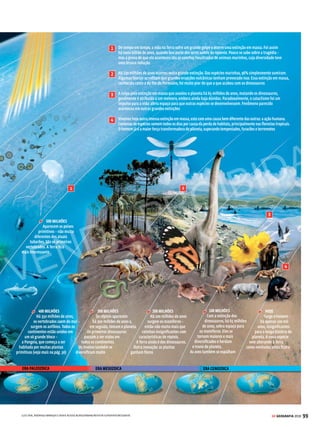 5
98 GE GEOGRAFIA 2018
BIOSFERA A EVOLUÇÃO DO PLANETA
Qual é a origem da vida na terra?
Nosso planeta surgiu 5 bilhões de anos atrás, após uma
complexa cadeia de eventos. As primeiras formas de vida
apareceram 1,5 bilhão de anos depois, e o nascimento do
homem ocorreu há “apenas” 100 mil anos
Da massa de moléculas inanimadas
de carbono surgiu a vida há 3,5 bilhões de
anos. Parece milagre, mas é pura química.
O planeta, então, era frequentemente
bombardeado por meteoros,
restos da explosão inicial
Há quase
5 bilhões de anos, uma
estrela explodiu num canto da Via
Láctea, espalhando poeira pelo espaço.
A gravidade começou a juntar
os grãos de poeira em pedaços
cada vez maiores.
Assim surgiu
a Terra
3 BILHÕES
As células se espalham pela Terra.
Mas o processo é lento, diante da
queda de meteoros. O planeta,
ainda novo, guarda o calor da
explosão estelar, e seu interior
quente vive vazando por vulcões.
Outro problema são os tórridos
raios solares
2 BILHÕES
A agitação cósmica e geológica aos
poucos vai diminuindo, enquanto
o planeta esfria. Forma-se a
camada de ozônio, que torna os
raios solares menos nocivos e
permite o surgimento de formas
de vida mais complexas
1 BILHÃO
Aparecem células mais
complicadas, os eucariontes,
que possuem todas as organelas.
A vida vai, aos poucos, tomando
o planeta, protegida do Sol pela
camada de ozônio. Os meteoros
são cada vez mais raros
600 MILHÕES
Surgem os primeiros
organismos multicelulares –
todos invertebrados.
A variedade de vida aumenta
de maneira impressionante.
Os oceanos se povoam com os
seres mais estranhos
ERA ARQUEOZOICA ERA PROTEROZOICA
No decorrer da história do planeta, os continentes navegaram sobre a rocha derretida (veja mais na pág. 30)
VENDA PROIBIDA
 