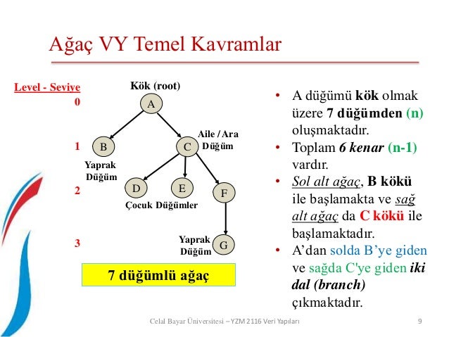 Yzm 2116 Bölüm 7 - Tree ve Binary tree - İkili Ağaç
