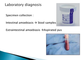 Specimen collection :
Intestinal amoebiasis  Stool samples
Extraintestinal amoebiasis Aspirated pus
 