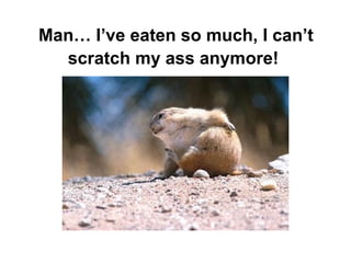 Man… I’ve eaten so much, I can’t scratch my ass anymore!   