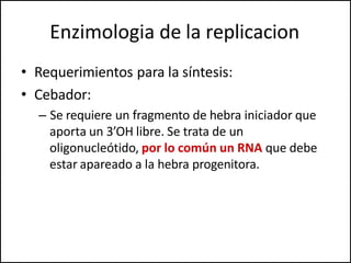 Enzimologia de la replicacion
• Requerimientos para la síntesis:
• Cebador:
– Se requiere un fragmento de hebra iniciador que
aporta un 3’OH libre. Se trata de un
oligonucleótido, por lo común un RNA que debe
estar apareado a la hebra progenitora.
 