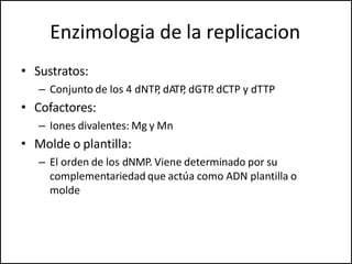 Enzimologia de la replicacion
• Sustratos:
– Conjunto de los 4 dNTP
, dATP
, dGTP
. dCTP y dTTP
• Cofactores:
– Iones divalentes: Mg y Mn
• Molde o plantilla:
– El orden de los dNMP. Viene determinado por su
complementariedad que actúa como ADN plantilla o
molde
 