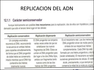 REPLICACION DEL ADN
 