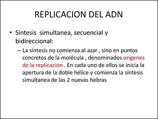 REPLICACION DEL ADN
• Síntesis simultanea, secuencial y
bidireccional:
– La síntesis no comienza al azar , sino en puntos
concretos de la molécula , denominados orígenes
de la replicación . En cada uno de ellos se inicia la
apertura de la doble hélice y comienza la síntesis
simultanea de las 2 nuevas hebras
 
