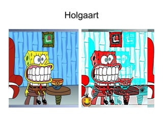 Holgaart 