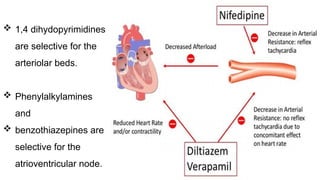  1,4 dihydopyrimidines
are selective for the
arteriolar beds.
 Phenylalkylamines
and
 benzothiazepines are
selective for the
atrioventricular node.
 