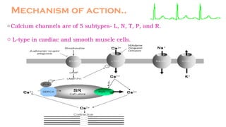 Mechanism of action..
o Calcium channels are of 5 subtypes- L, N, T, P, and R.
o L-type in cardiac and smooth muscle cells.
 
