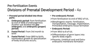 Pre-Fertilization Events
Divisions of Prenatal Development Period - 4a
• Prenatal period divided into three
parts:
1. Embryonic period: from fertilization
to end of Wk8 of embryogenesis
[further sub-divided into pre-
embryonic and embryonic (proper)
period]
2. Foetal Period: From 3rd month to
birth
3. Foetal Period: From Wk9 to birth;
tremendous growth & specialization
of body structures occurs;
• Pre-embryonic Period:
from fertilization to end of Wk2 of IUL.
Morphogenic events: Fertilization,
Transportation, Cleavage, Implantation,
Primordial embryonic tissue formation
• Embryonic Period:
From Wk3 to 8 of IUL
Differentiation of germ layers into
specific body organs
Placenta, Umbilical cord and Extra-
embryonic membrane formation
 