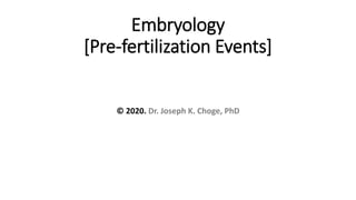 Embryology
[Pre-fertilization Events]
© 2020. Dr. Joseph K. Choge, PhD
 