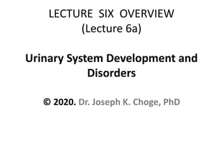 LECTURE SIX OVERVIEW
(Lecture 6a)
Urinary System Development and
Disorders
© 2020. Dr. Joseph K. Choge, PhD
 