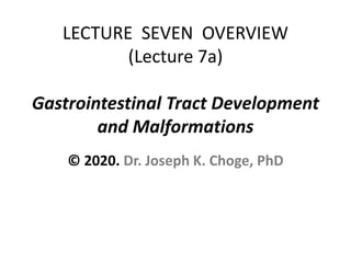 LECTURE SEVEN OVERVIEW
(Lecture 7a)
Gastrointestinal Tract Development
and Malformations
© 2020. Dr. Joseph K. Choge, PhD
 